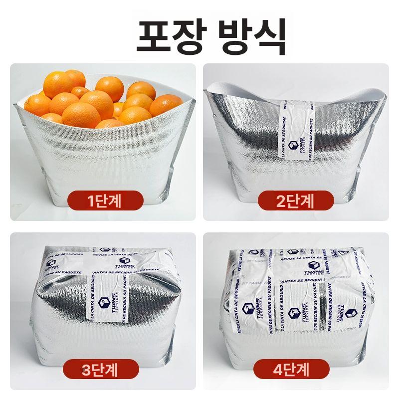 일회용 은박 보냉 50개 100개 포장용 보온 배달가방 포장봉투 봉투 빙수포장 테이크아웃 100개 5kg 31x21.5x31 - 상세 이미지 2