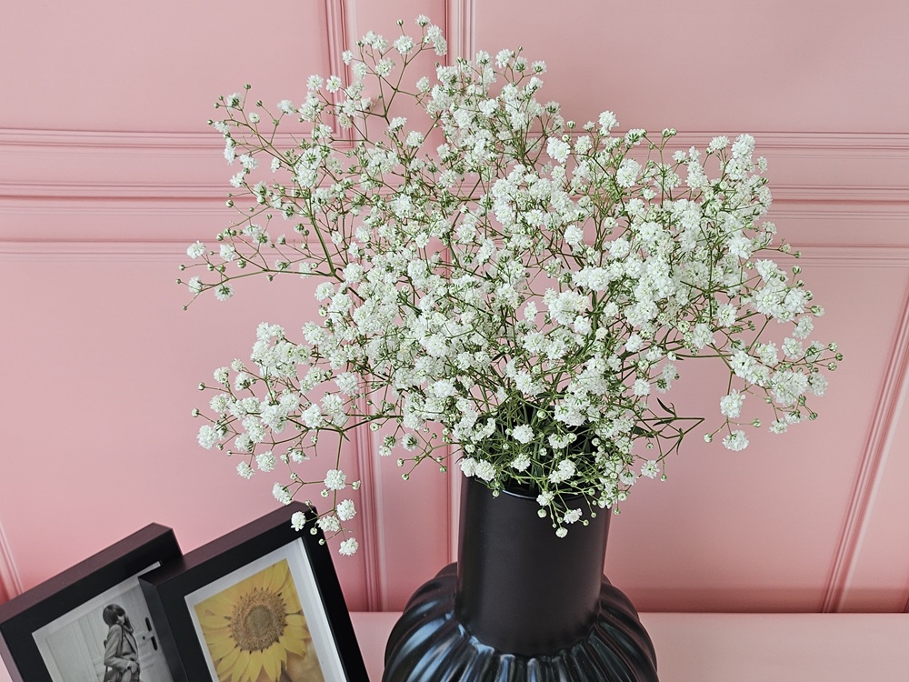 유스풀몰 흰색 안개 소형 생화 꽃배달싼곳 꽃 화훼농가돕기 솔직 후기 | 실사용자 리뷰 분석 - 대표 이미지