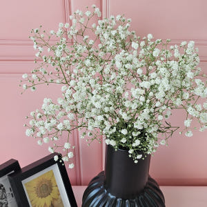 유스풀몰 흰색 안개 소형 생화 꽃배달싼곳 꽃 화훼농가돕기 솔직 후기 | 실사용자 리뷰 분석 - 상품 이미지 1