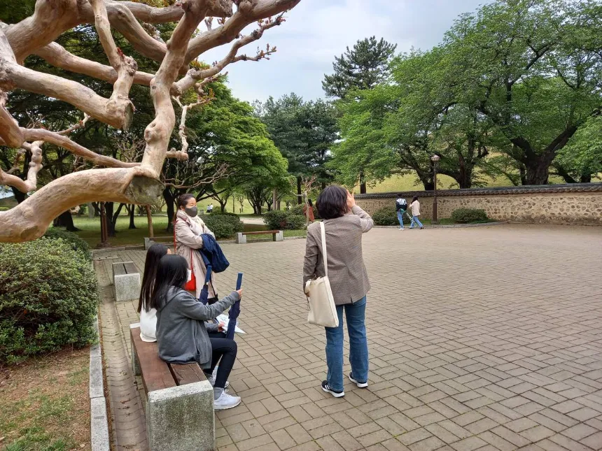 [가족 프라이빗] 대릉원 첨성대 동궁과월지 경주 가족투어 by 아이체험교육여행 - 상세 이미지 5