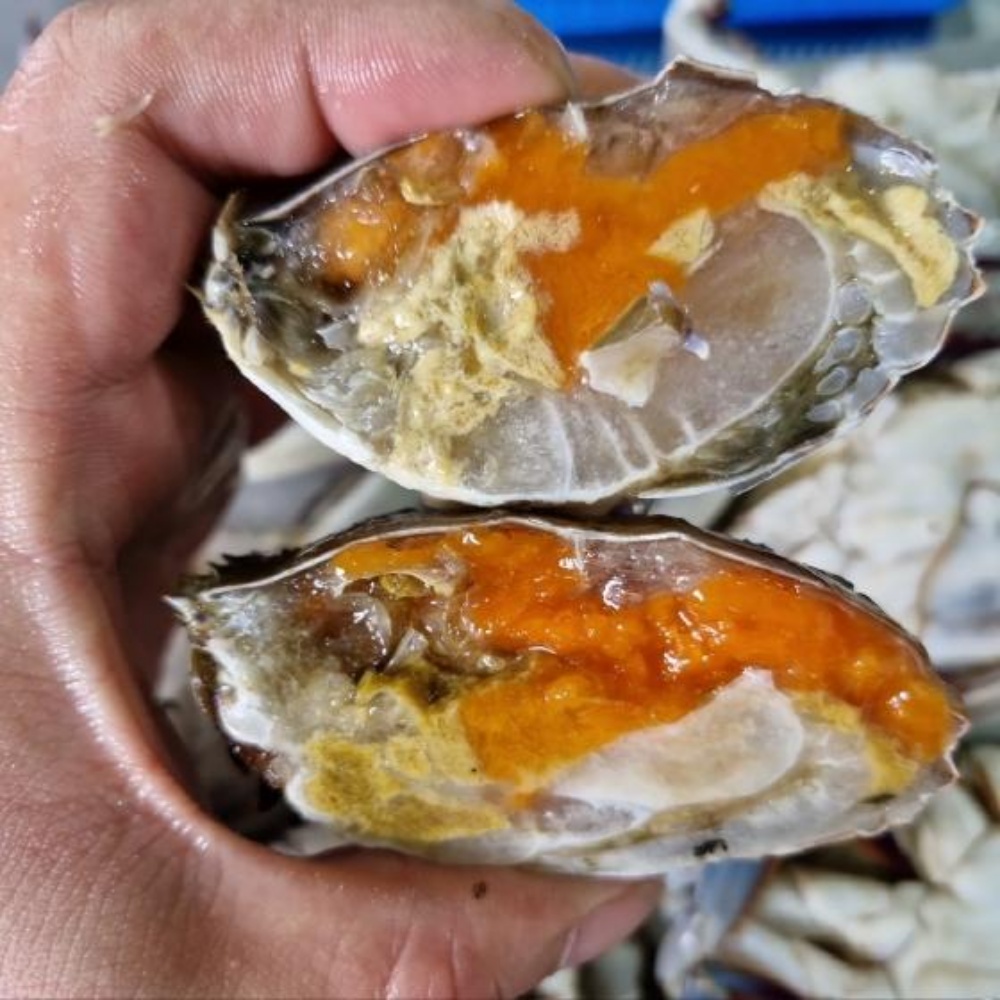 냉동 암꽃게 꽃게 간장게장 양념 서해안 꽂개 서해 꽃개 1kg 급냉 게장용 급랭 암게 - 상세 이미지 4
