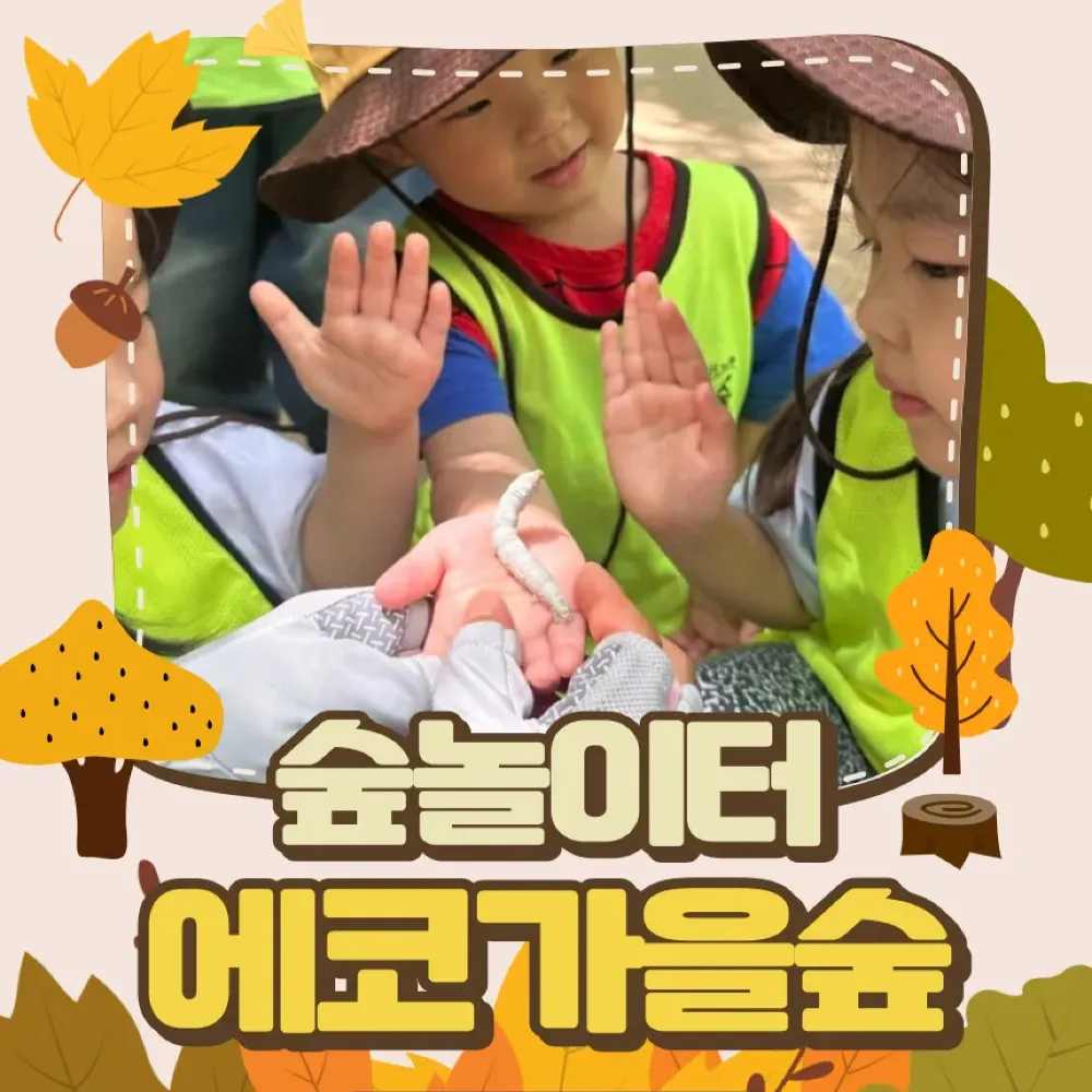 [창원편백유아숲] 숲놀이터 에코가을숲 by 유한회사에코힐링 - 상품 이미지
