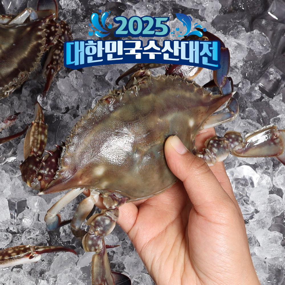 제철 꽃게 봄 가을 암꽃게 숫꽃게 활꽃게 빙장 톱밥