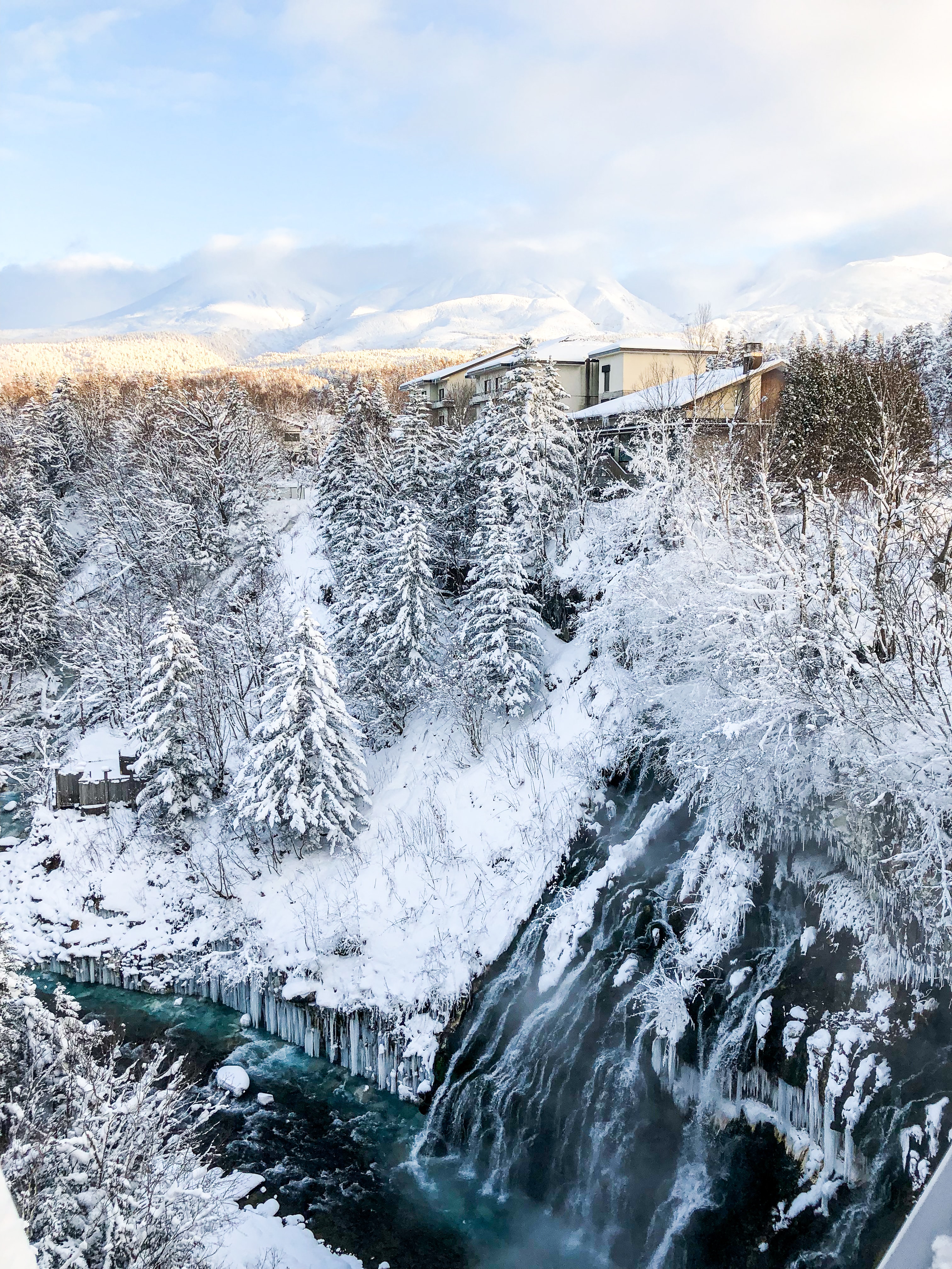 [매일출발/쥰페이예약] 삿포로 비에이 후라노 버스투어 엔데이트립