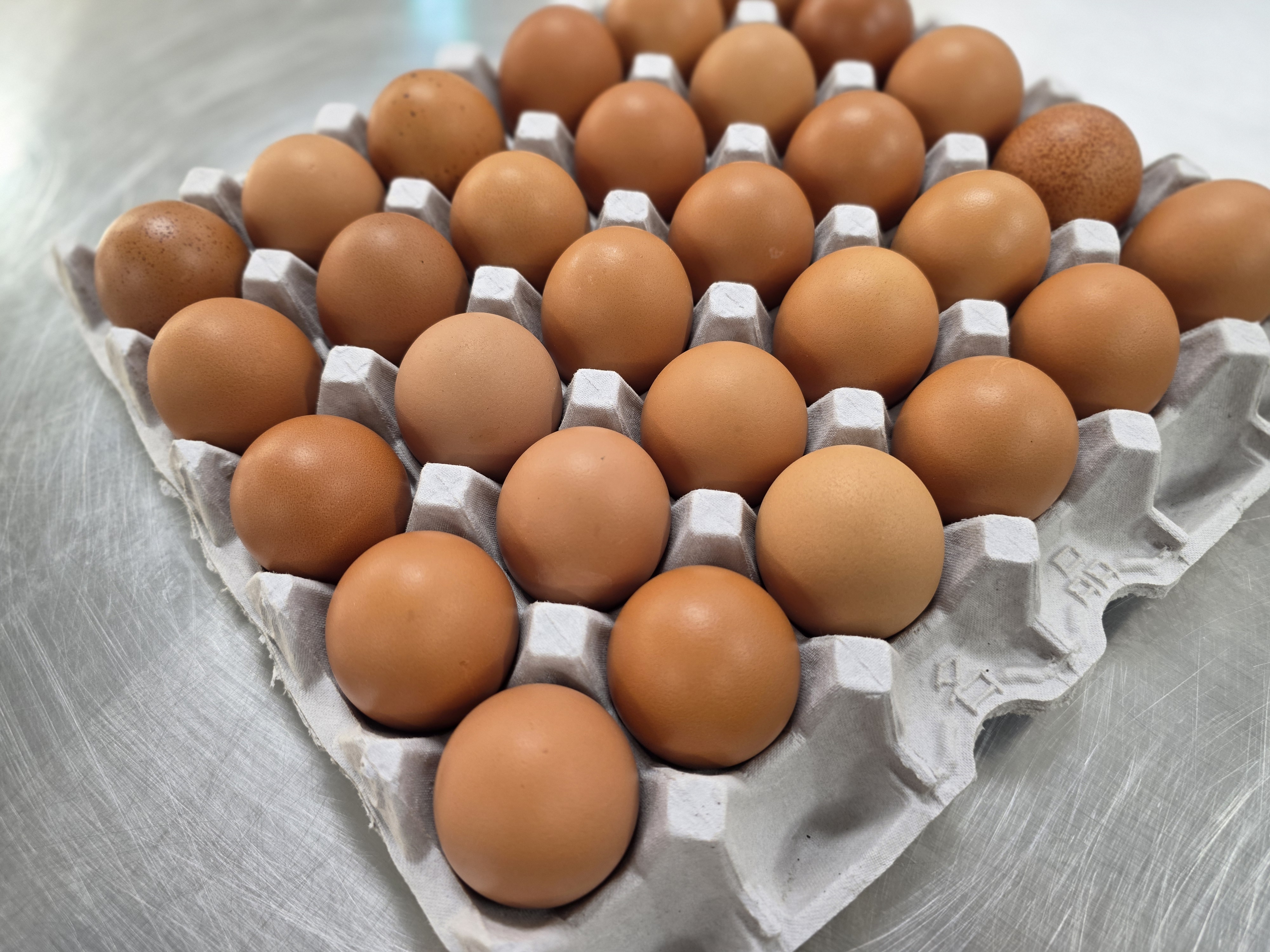 난각번호 1번 바나듐 국산구운란 국산생란 유정란 무항생제 훈제란 - 상세 이미지 2