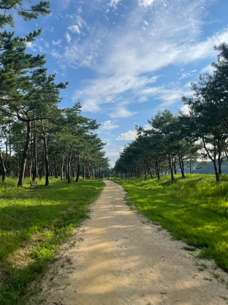 바른자세 바른걷기 자세교정 프로젝트 노르딕워킹 in 공주 고마나루 by 키큰나무 - 상세 이미지 3