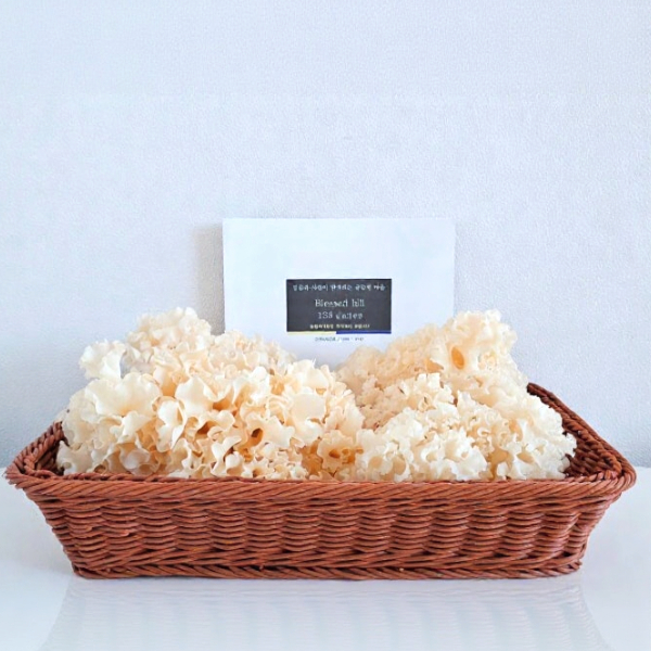 베타글루칸 꽃송이버섯 부모님 건강 선물 답례품 명절 추석 500g, 1개 - 상세 이미지 3