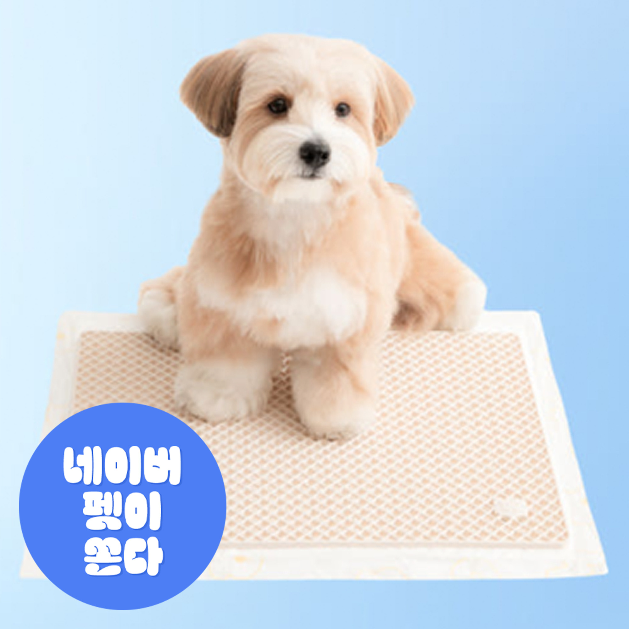 바잇미 강아지배변판 실리콘 강아지배변훈련 화장실 마킹 매트 애견