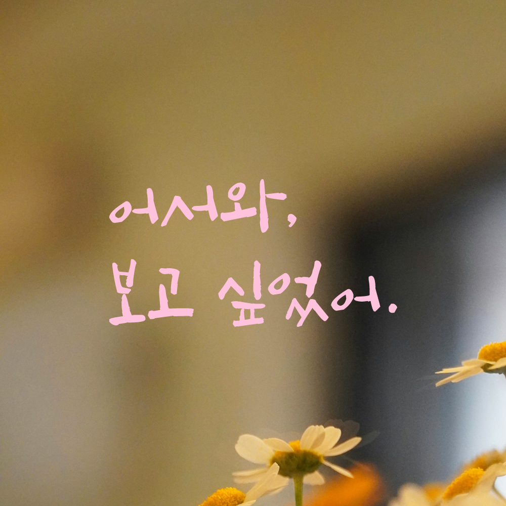 캘리그라피 레터링 스티커 어서와 보고 싶었어 검정S 13.5x7cm - 상세 이미지 4