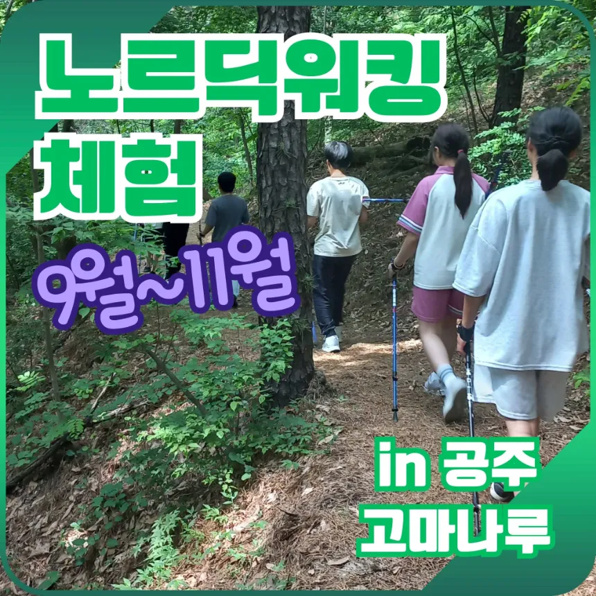 바른자세 바른걷기 자세교정 프로젝트 노르딕워킹 in 공주 고마나루 by 키큰나무 - 상품 이미지