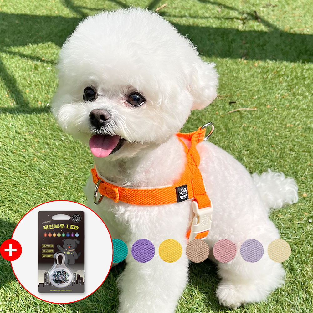 강아지 하네스 앞섬방지 앞고리 소형견 팔레트 제품 이미지