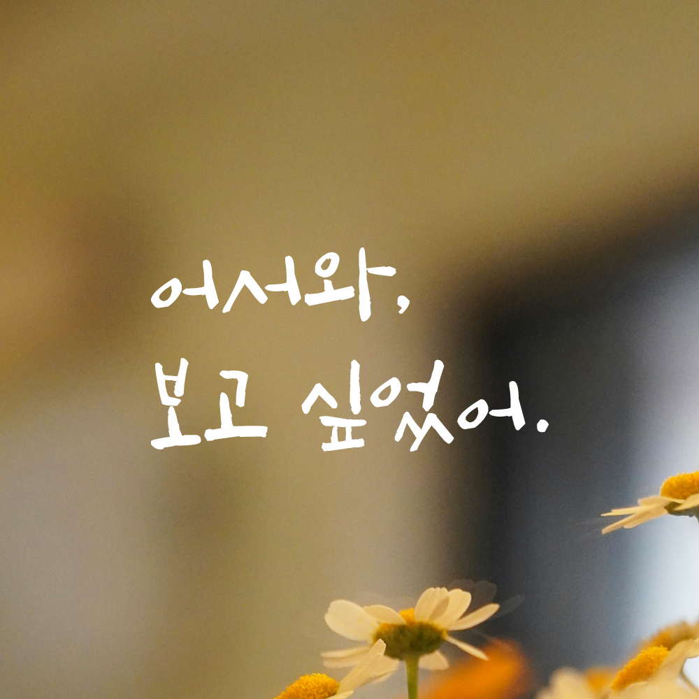 캘리그라피 레터링 스티커 어서와 보고 싶었어 검정S 13.5x7cm - 상세 이미지 2