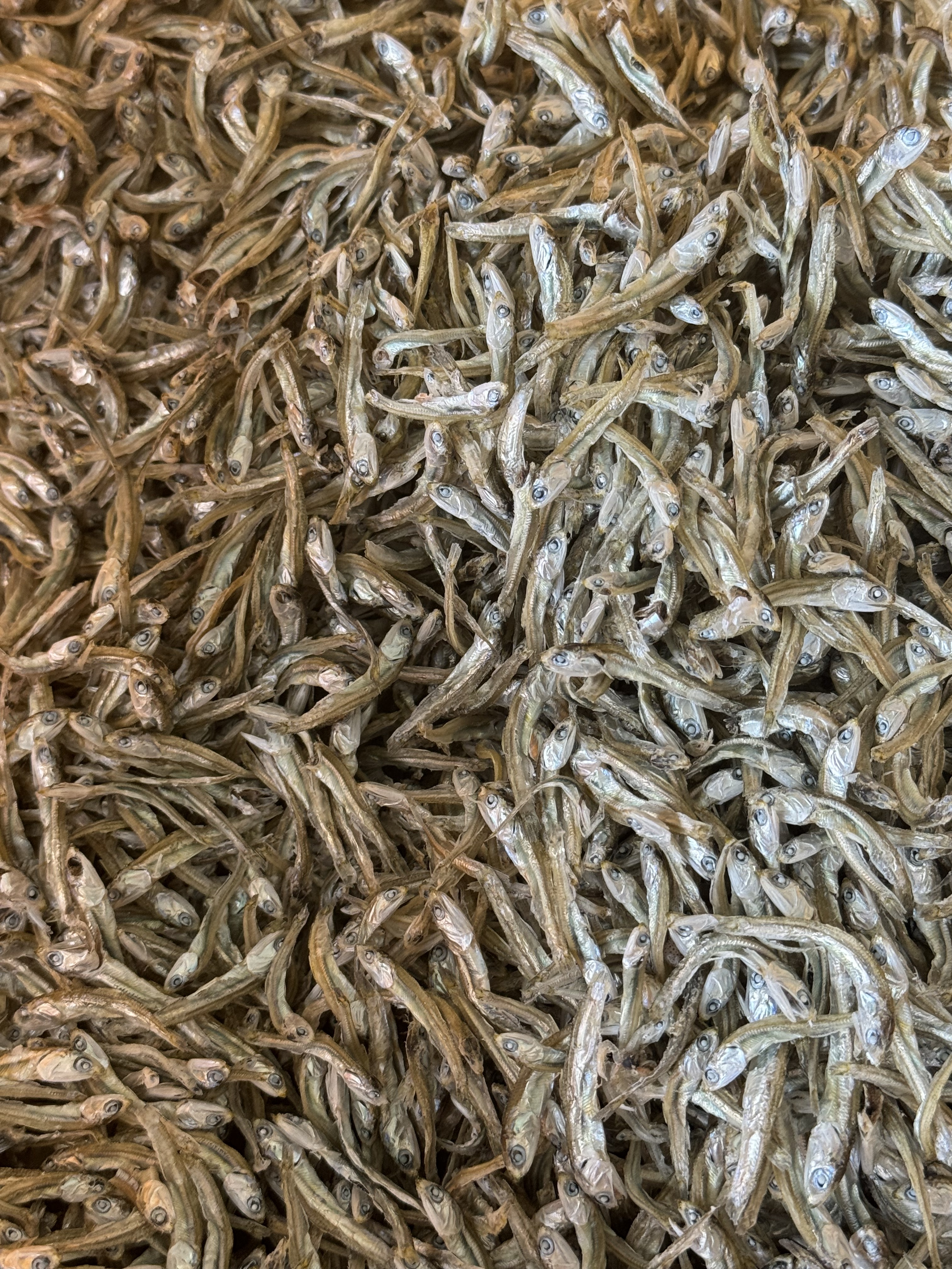 (산지직송) 직접잡은 프리미엄 정치망 멸치 - 상세 이미지 3