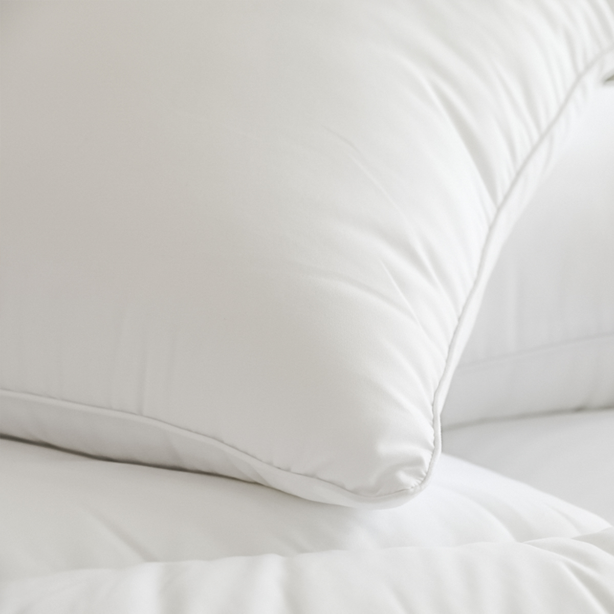 [1+1] 마이하우스 사계절용 마이크로화이바 스탠다드 호텔 베개솜 일반형 50x70cm, 2개