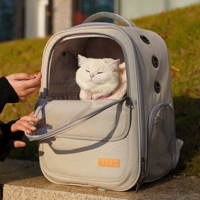 고양이 강아지 가방 산책 나들이 대형 캔버스 케이지 켄넬 배낭 캐리어 백팩 - 상세 이미지 4