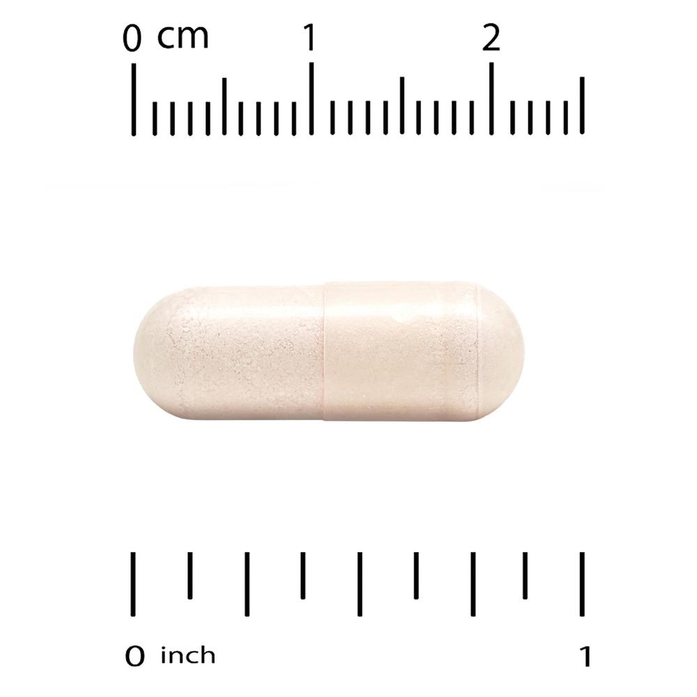 슈퍼뉴트리션 보스웰리아 세라타 피토솜 Boswellia 60정 - 상세 이미지 3