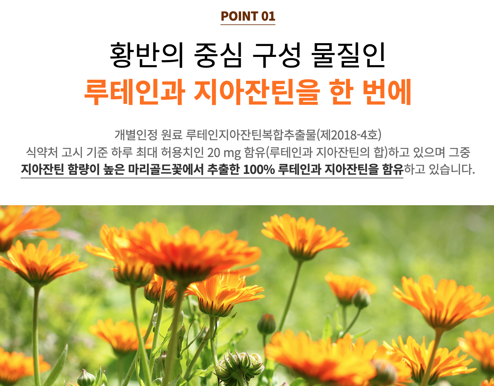 눈건강 지쿱 루테인지아잔틴 비타민A 황반색소 루테인 영양제 베타카로틴 - 상세 이미지 3