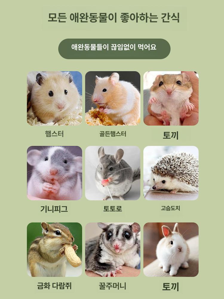 햄스터 간식 치즈 칼슘 곡물 공급 양유 친칠라 재미있는연삭 다람쥐 치즈모양을한 영양 패키지 - 상세 이미지 5