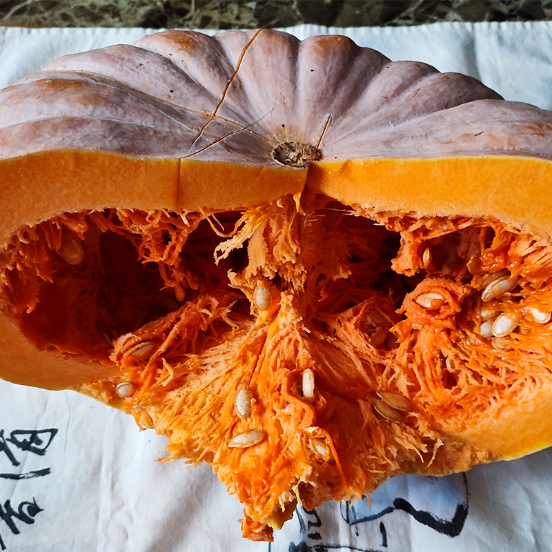 25년 햇수확 맛있는 노란 늙은호박 3kg내외 - 상세 이미지 3