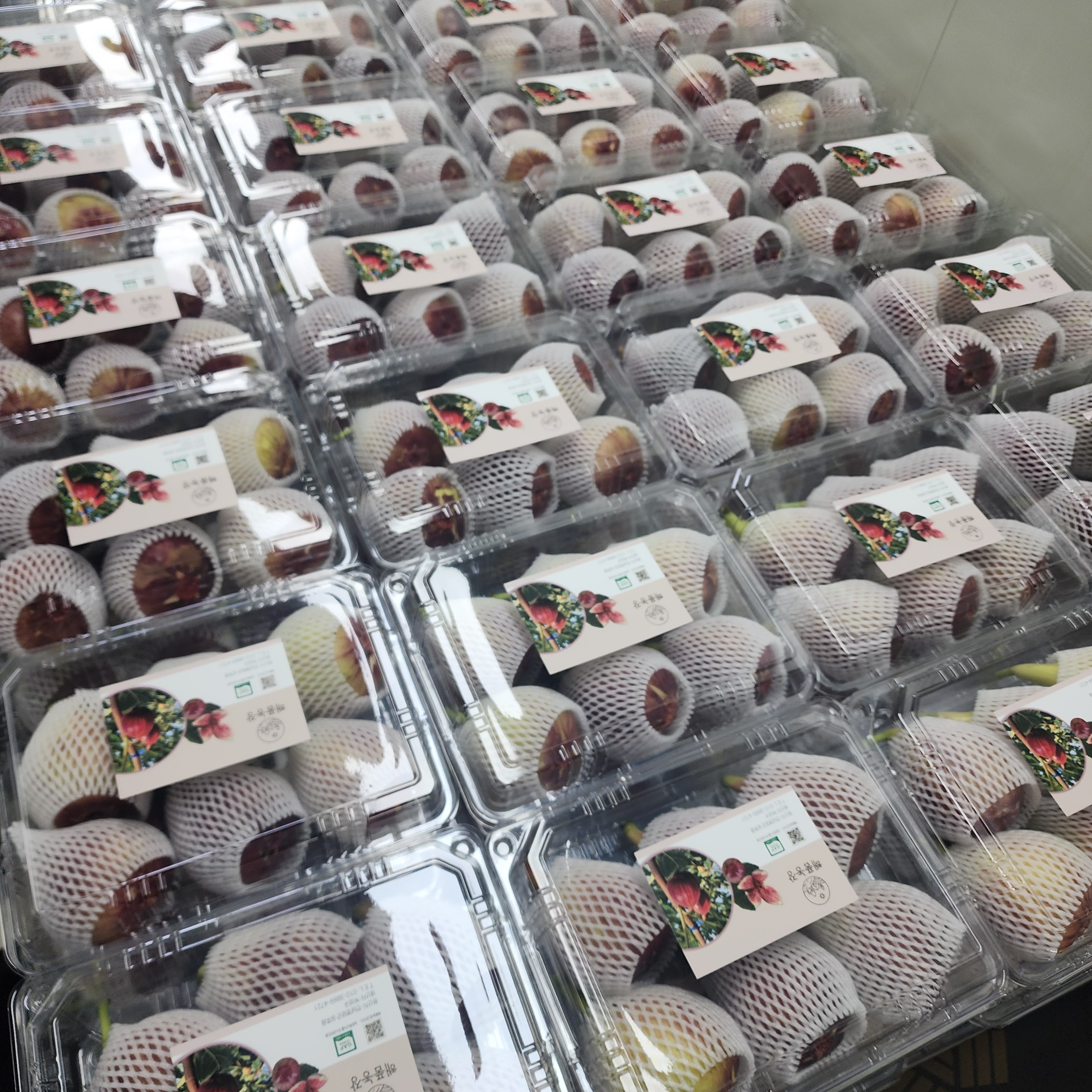 (산지직송)GAP 당도높은 영암무화과 500g 1kg 2kg - 상세 이미지 5