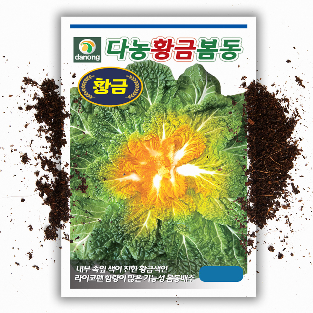 봄동씨앗 황금봄동 500립 월동 겨울 배추 속노란 라이코펜 함유 - 상품 이미지