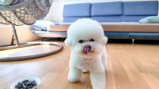 thumbnail-3