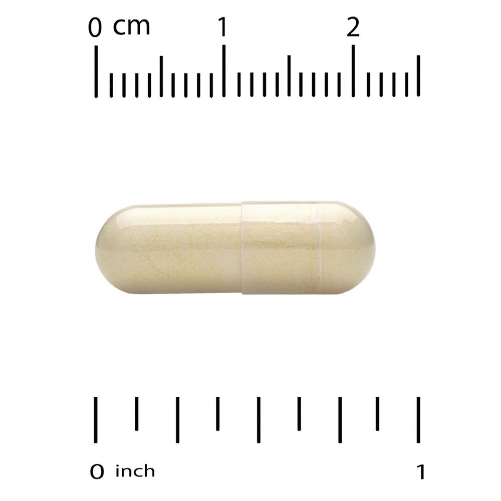 CGN Joint Health MSM 강황 보스웰리아 Boswellia 90정 - 상세 이미지 4