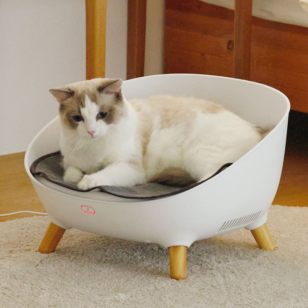 [펫드리머] 전용 매트 순면 강아지 고양이 매트방석 - 상품 이미지