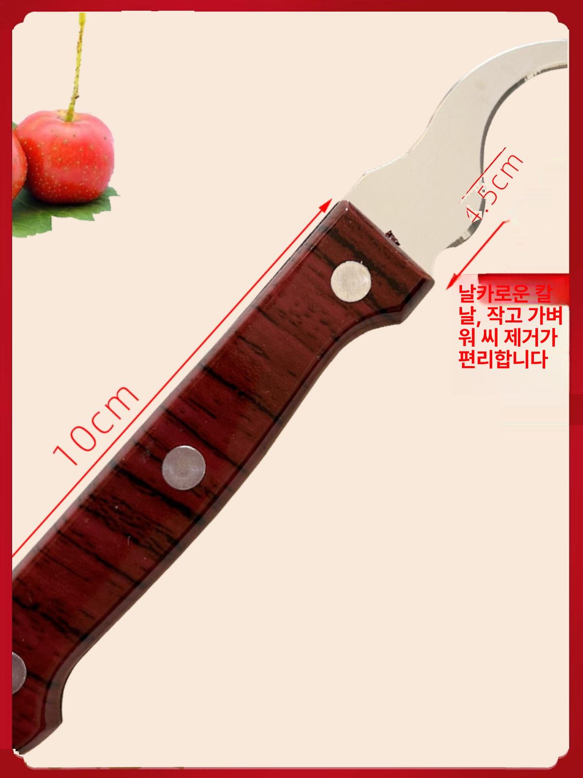 제거기 도구 탕후루 씨분리기 빼는 플라이어 대추씨 건대추 까는 매실 펀칭기 구형 씨앗 제거 칼 - 상세 이미지 5