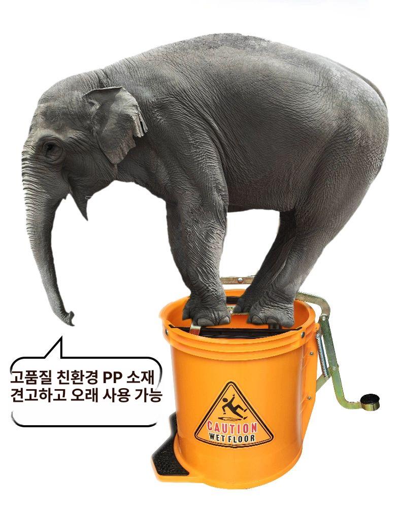 호주 맙통 카페 마포탈수기 양동이 학교 학교 블루 A - 상세 이미지 3