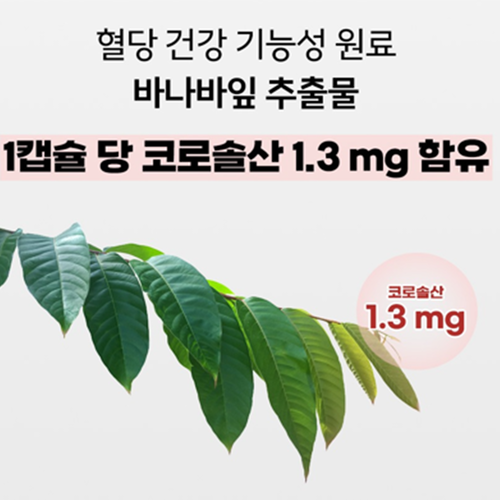 웰러스 혈당 케어 프로바이오틱스 유산균 180캡슐 6개월 장 건강 바나바 코로솔산 식후혈당 - 상세 이미지 4