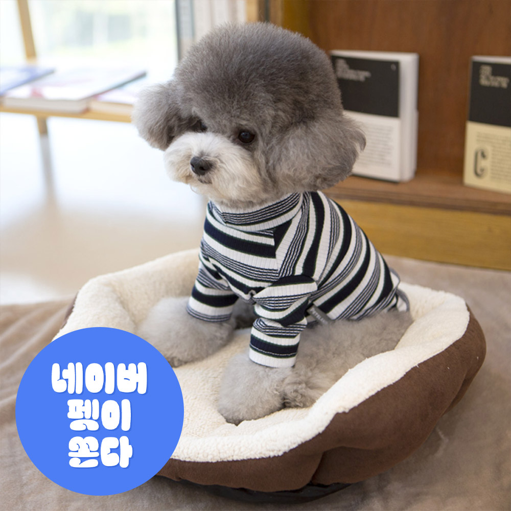 강아지의류 강아지니트 레나골지티셔츠 - 상품 이미지
