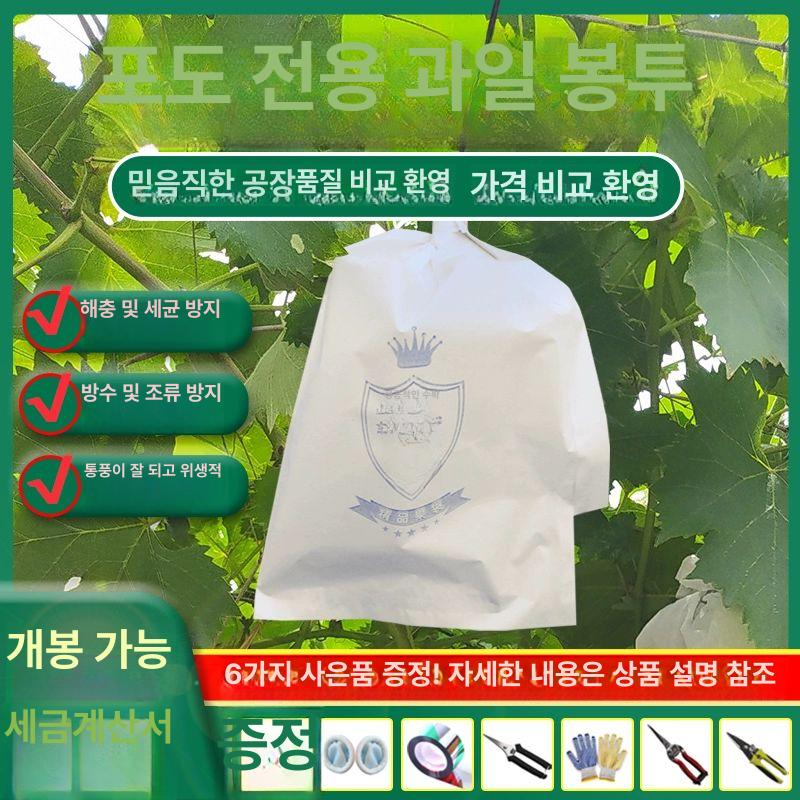 투명 방충 과수봉지 포도봉투 특수 샤인머스켓 딸기봉지 메쉬 배봉지 거봉 주머니 포장 전체 30x38cm 3kg 프리미엄 목재지 1000개 - 상세 이미지 3