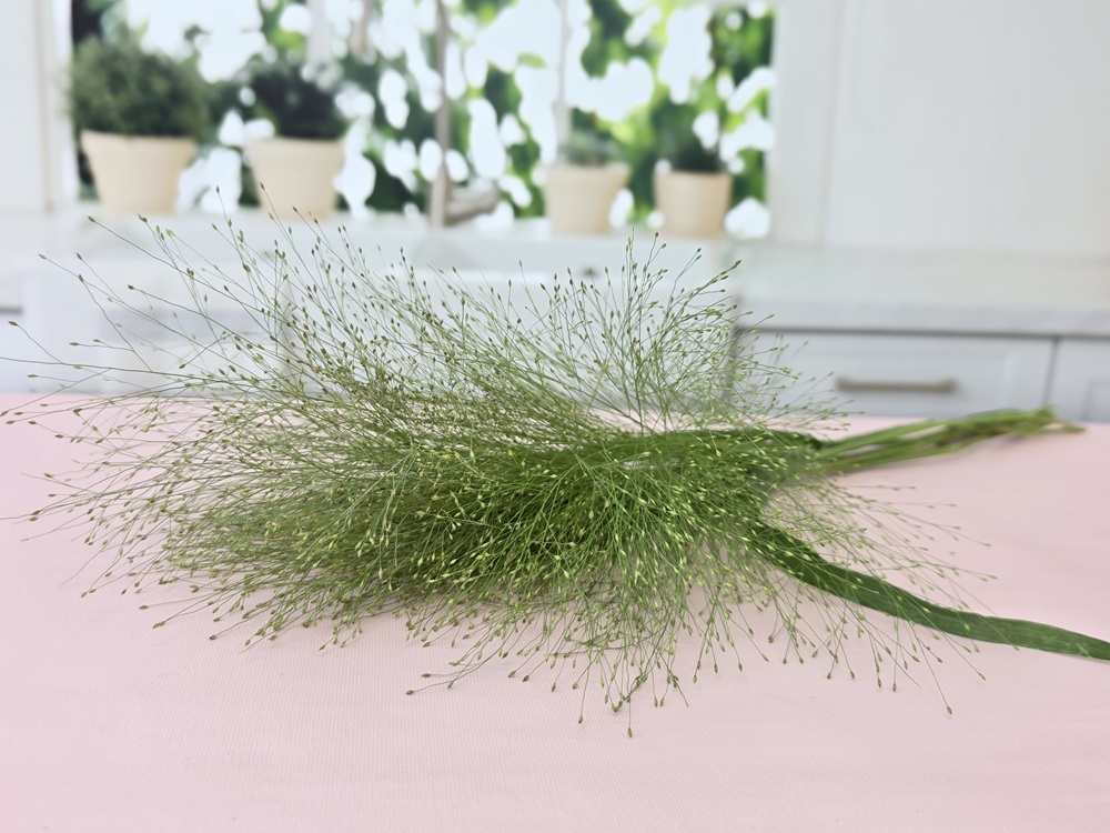 유스풀몰 페니쿰 생화 꽃 택배 꽃배달 싼곳 이미지 4