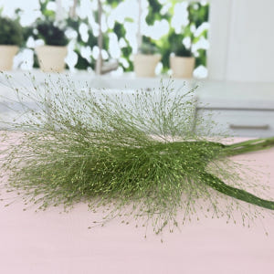 유스풀몰 페니쿰 생화 꽃 택배 꽃배달 싼곳 솔직 후기 | 실사용자 리뷰 분석 - 상품 이미지 4