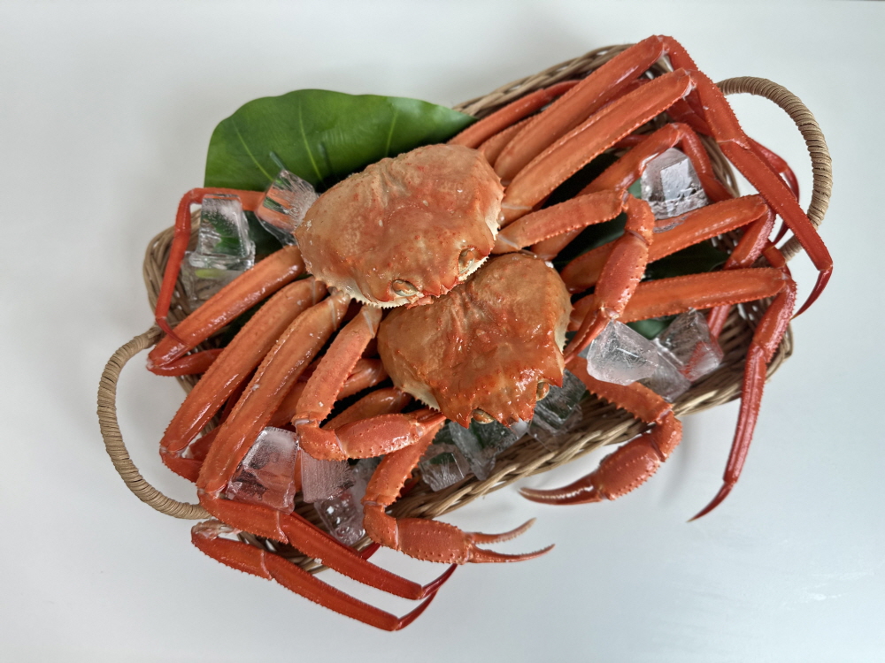 꽉찬수율 산지직송 제철수산물 울진 활 생물 후포리 자숙홍게 4~5미 외 육수용 - 상세 이미지 2