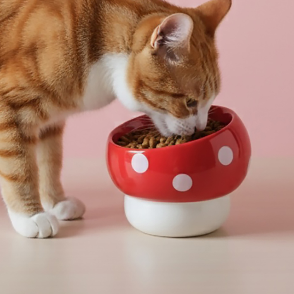 머쉬룸 경사형 도자기 고양이 밥그릇 강아지 물그릇 식기 수반 애견