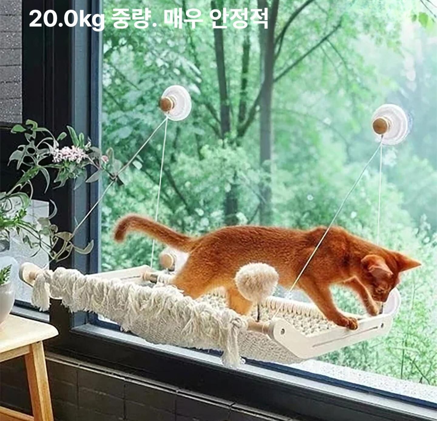 솔비에 고양이창틀선반 캣워커 고양이창문해먹 냥틀 창문캣타워 5. 그래스그린 점프 끈 미포함 접이식 XL - 상세 이미지 2