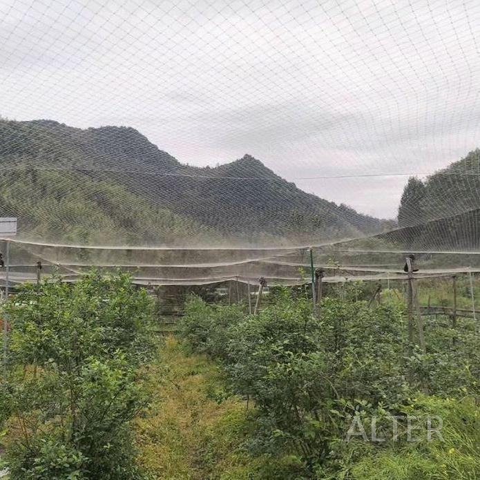 조류망 식물 그물망 블루베리 새망 새그물 텃밭 농사용 10x50m (2.5메쉬) - 상세 이미지 4