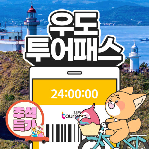 2. 제주 우도투어패..