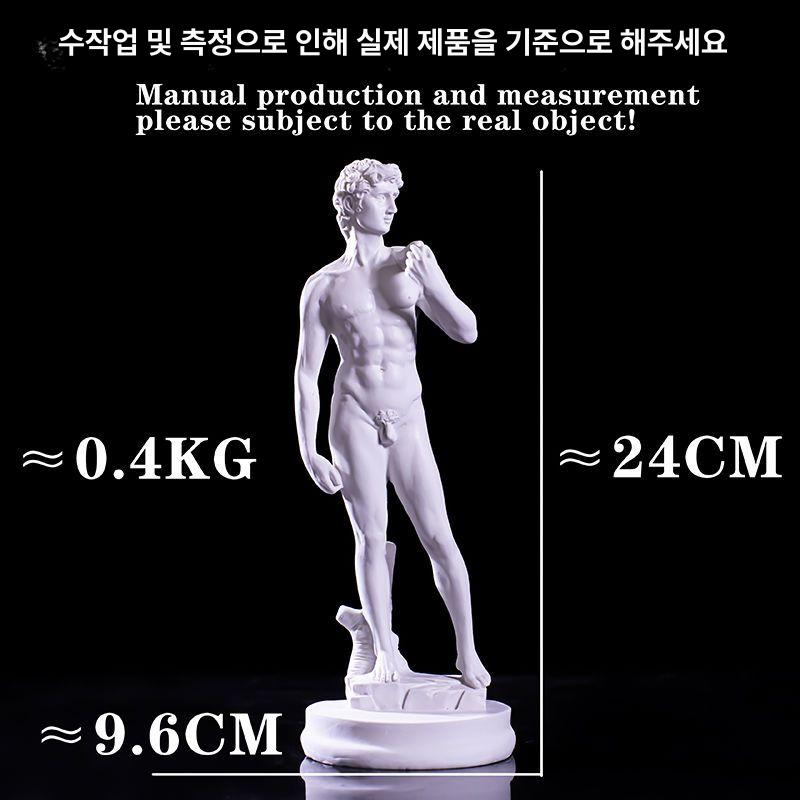 다비드 조각상 전신 소묘 인물 카페 북유럽 대형 성모 사무실 초상화 인테리어 장식품 석고상 전신 다비드 - 상세 이미지 5