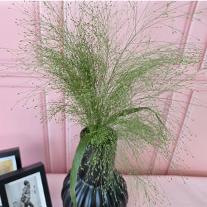 유스풀몰 페니쿰 생화 꽃 택배 꽃배달 싼곳 솔직 후기 | 실사용자 리뷰 분석 - 상품 이미지 1