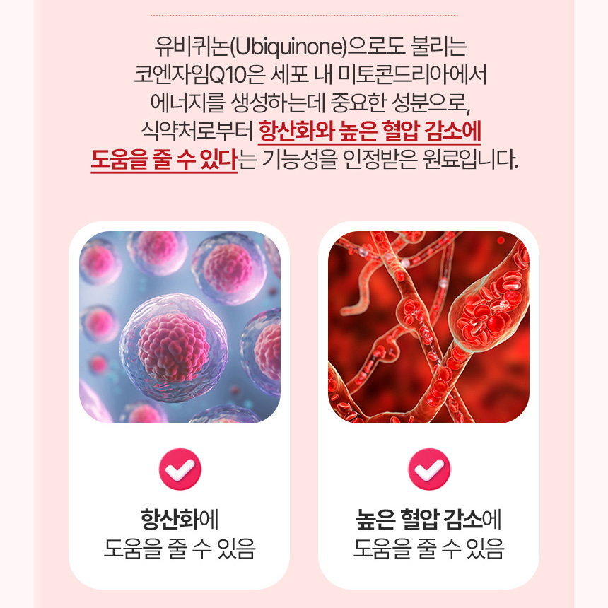 종근당 코엔자임Q10 혈압 코엔자 임Q10 코큐텐 효능 약12주분 - 상세 이미지 5