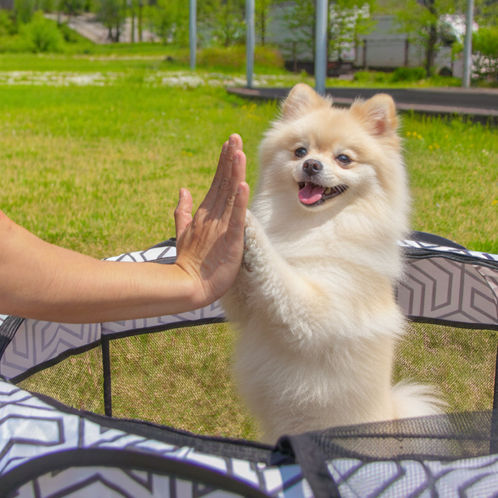 버팔로 반려묘 반려견 고양이 강아지 하우스 접이식 애견 텐트 개스트하우스 M사이즈