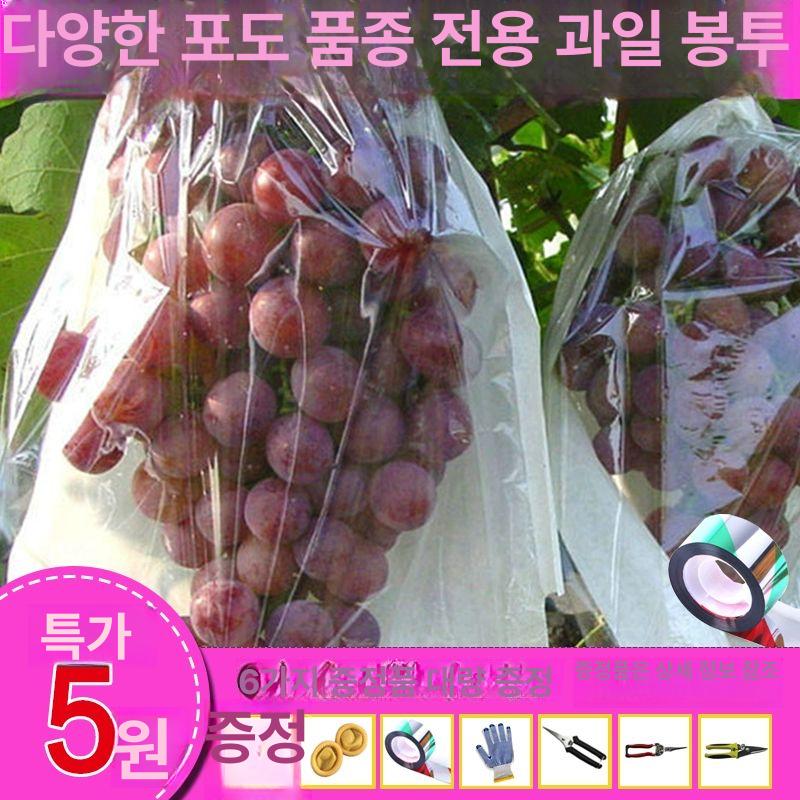 투명 방충 과수봉지 포도봉투 특수 샤인머스켓 딸기봉지 메쉬 배봉지 거봉 주머니 포장 전체 30x38cm 3kg 프리미엄 목재지 1000개 - 상세 이미지 4