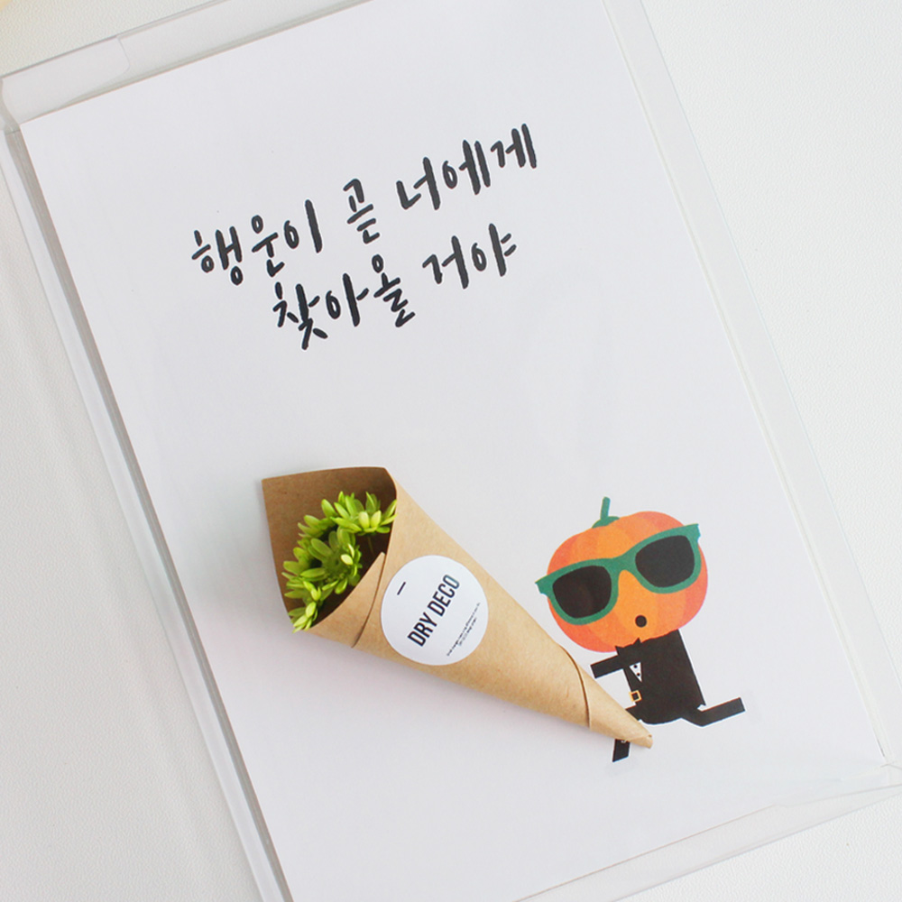행운의 펌킨아이 꽃다발 응원카드 메세지 캘리 엽서 - 상품 이미지