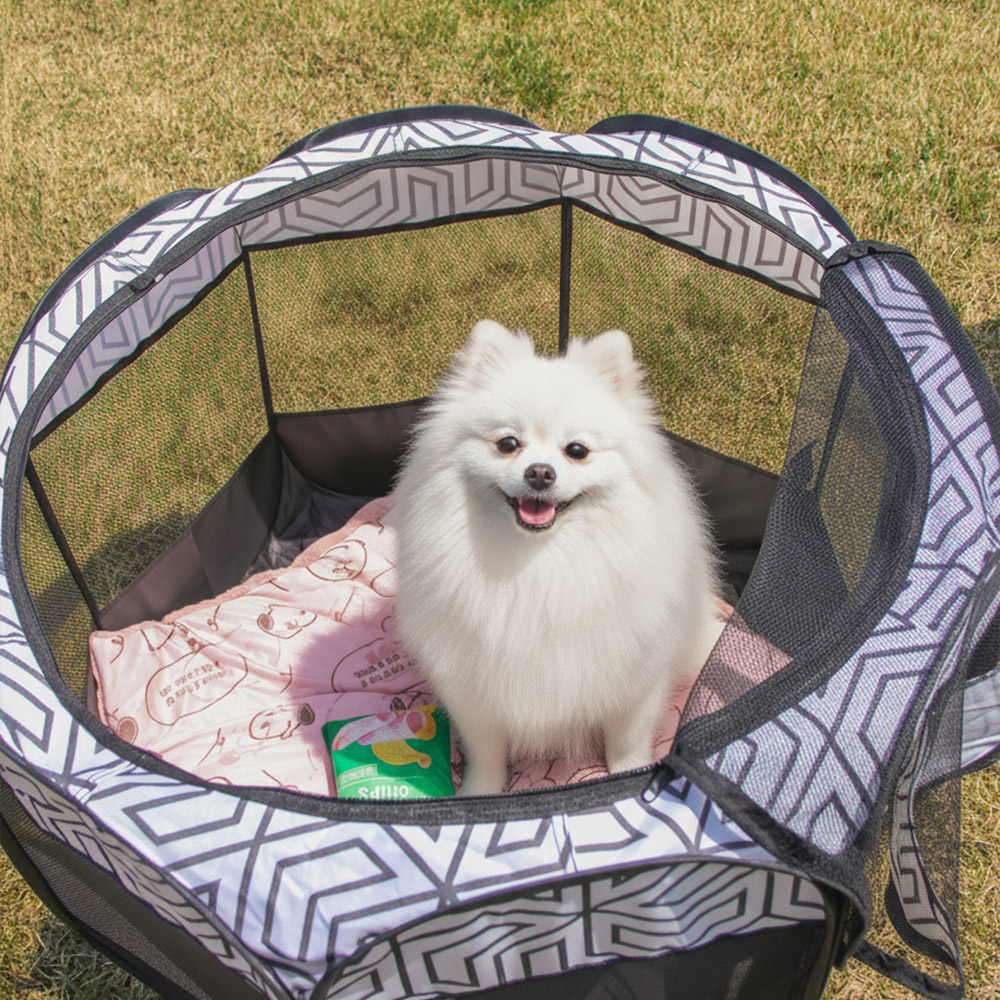 버팔로 반려묘 반려견 고양이 강아지 하우스 접이식 애견 텐트 개스트하우스 M사이즈