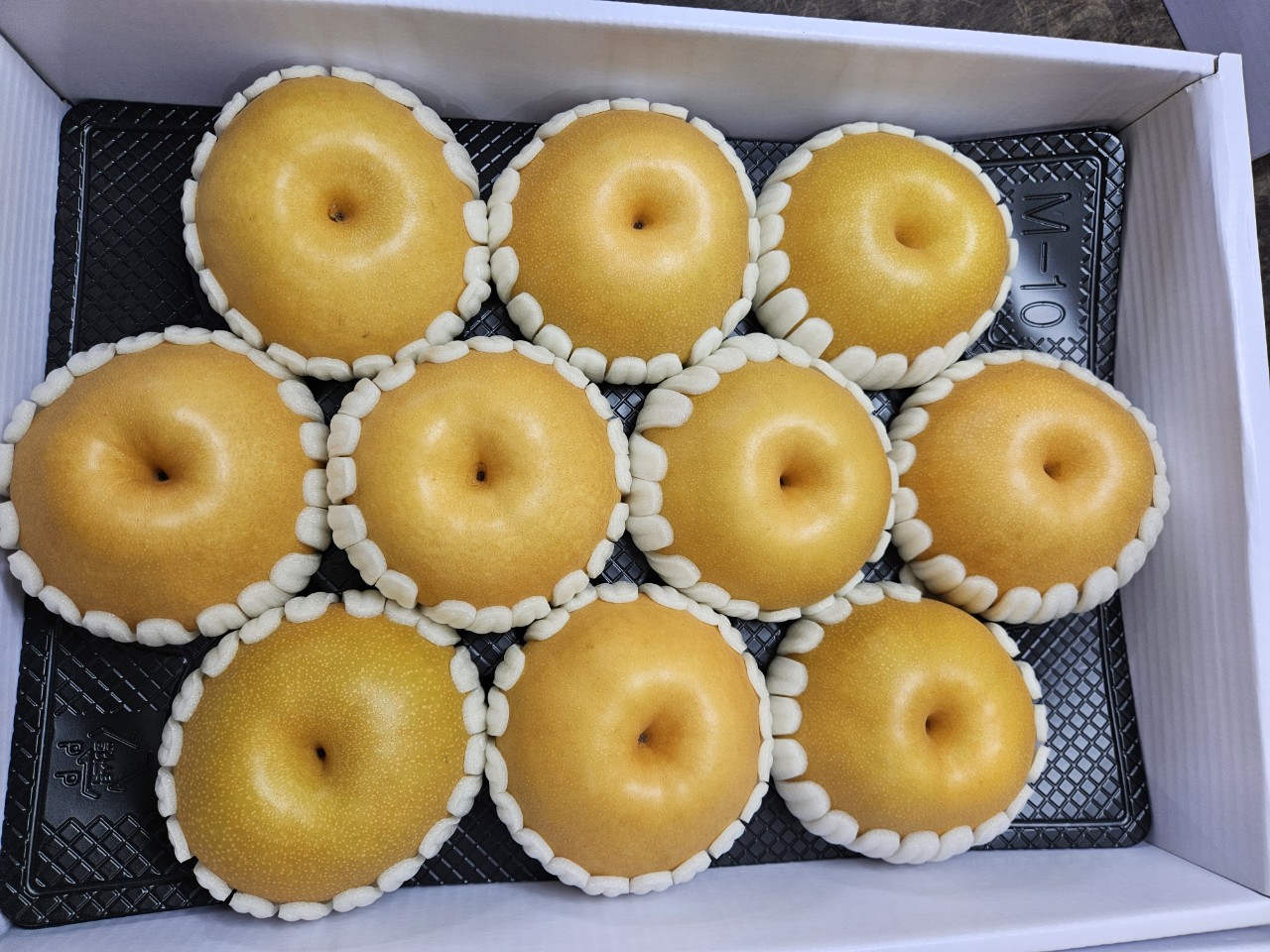 나주배 선물세트 11-13과내외 신고 배 14Brix, 7.5kg, 1개 - 상품 이미지