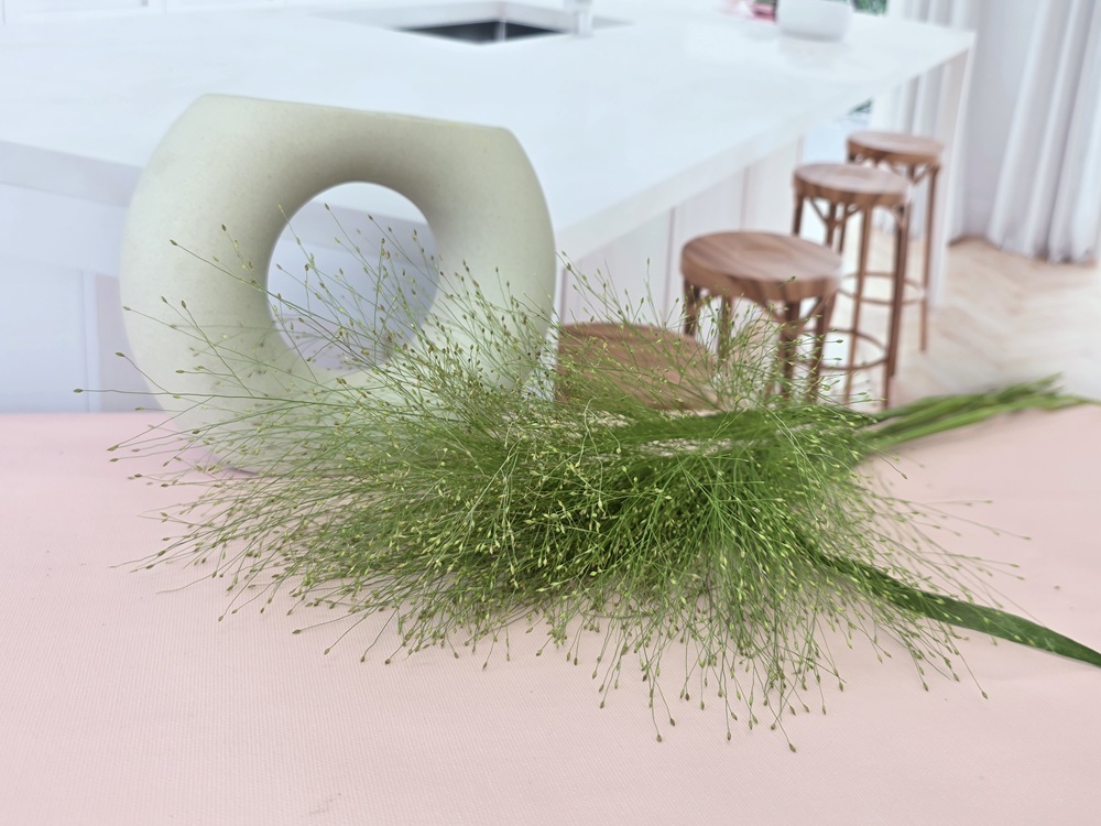 유스풀몰 페니쿰 생화 꽃 택배 꽃배달 싼곳 이미지 2