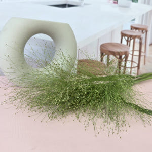 유스풀몰 페니쿰 생화 꽃 택배 꽃배달 싼곳 솔직 후기 | 실사용자 리뷰 분석 - 상품 이미지 2